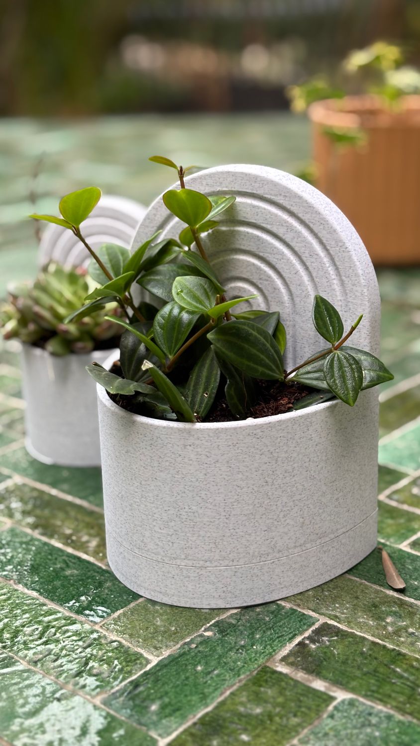 Bookend Planter With Water Reservoir
