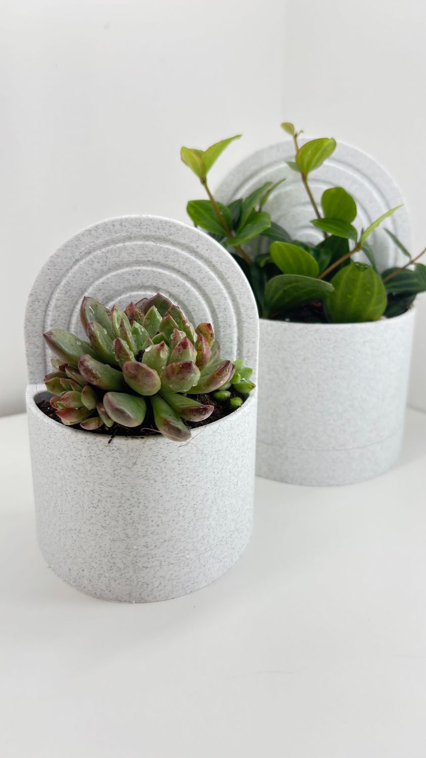 Bookend Planter With Water Reservoir