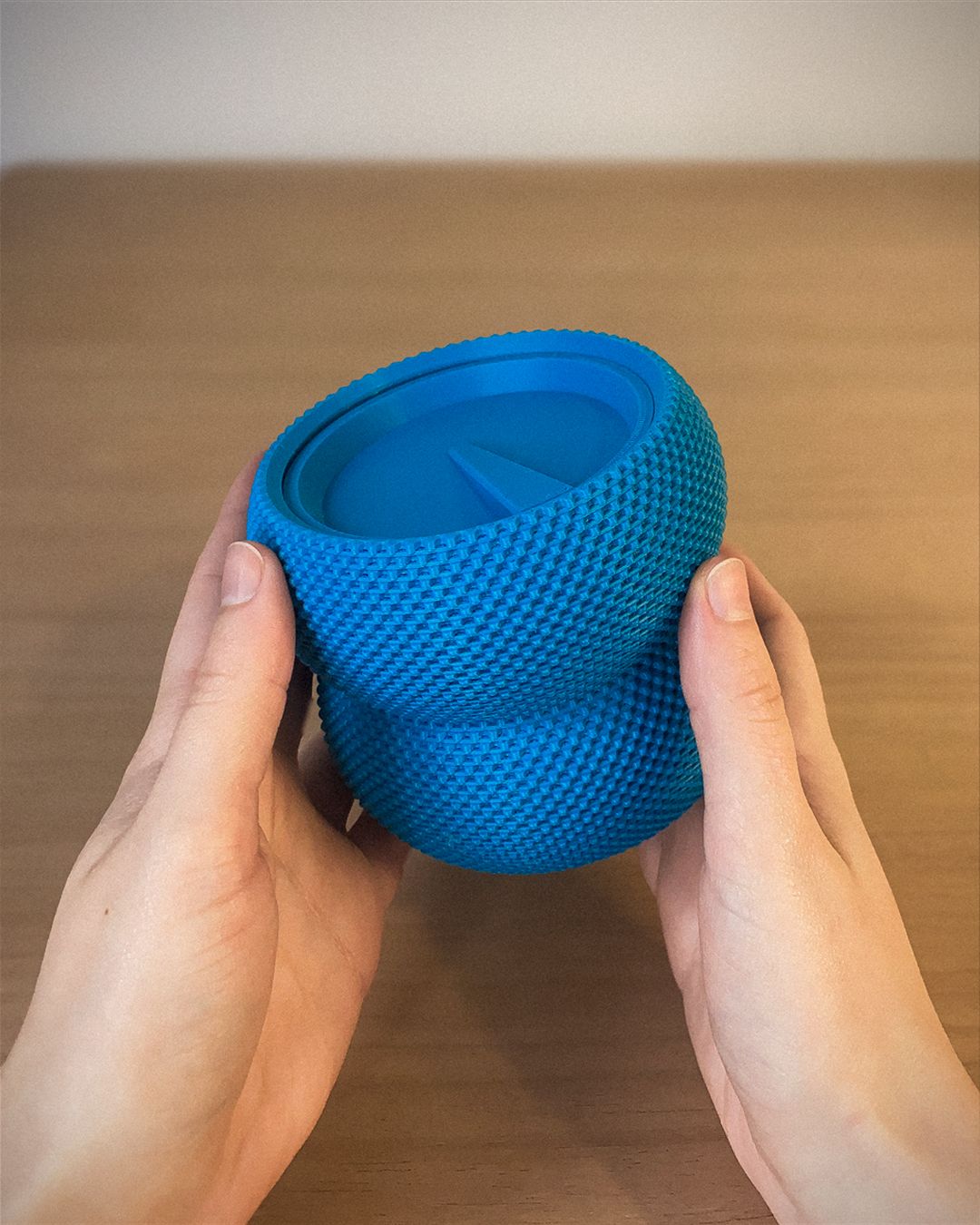 Delfina Storage Container