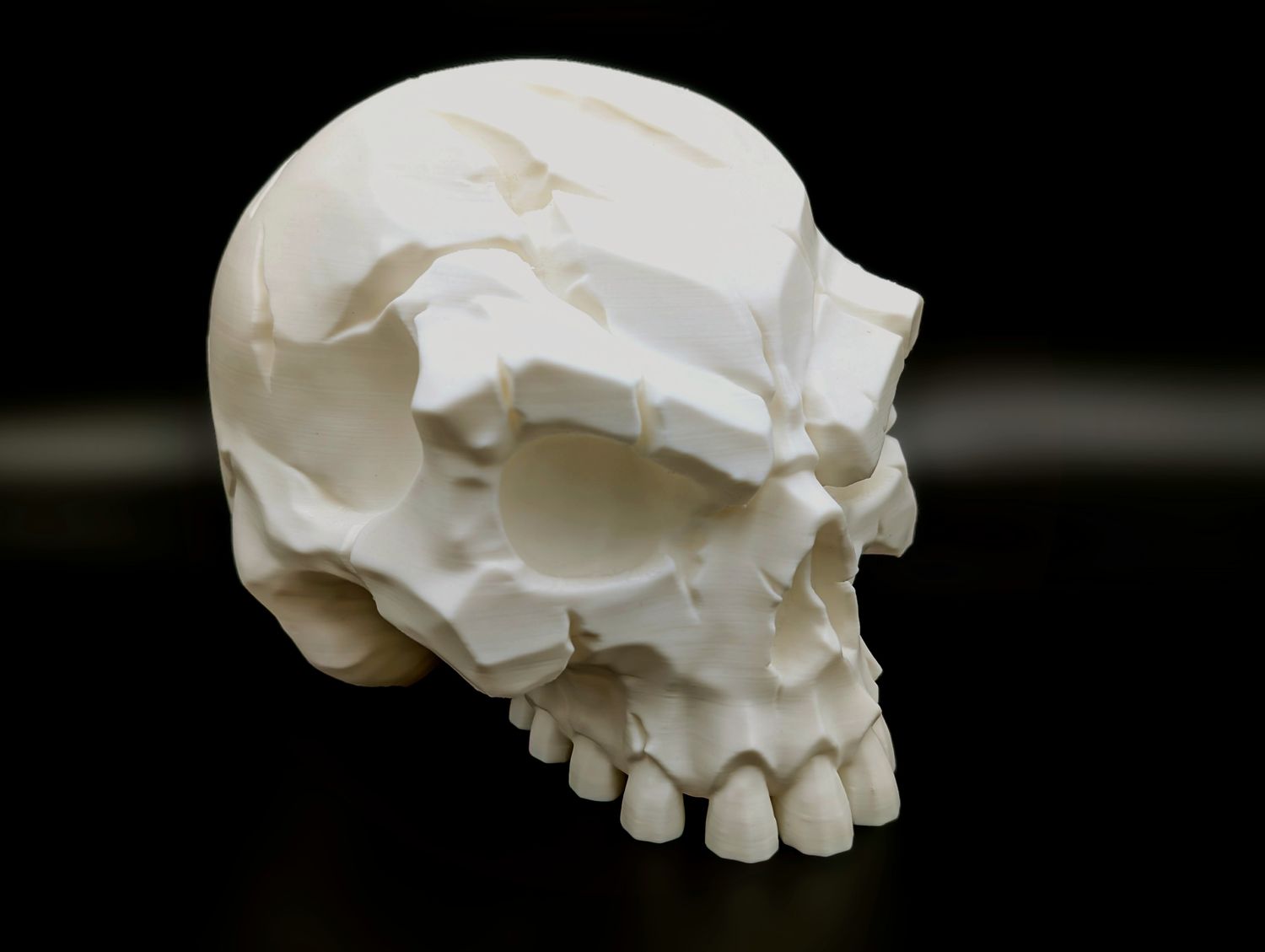 Battle-Scarred Skull – Dark Decor WHITE