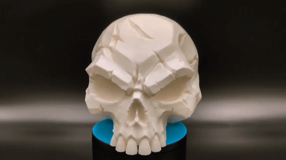 Battle-Scarred Skull – Dark Decor WHITE