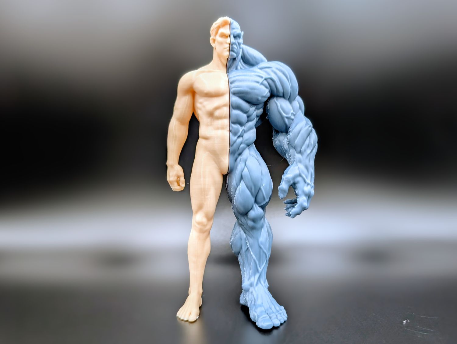 Split-Form Transformation Figure White &amp; Gray