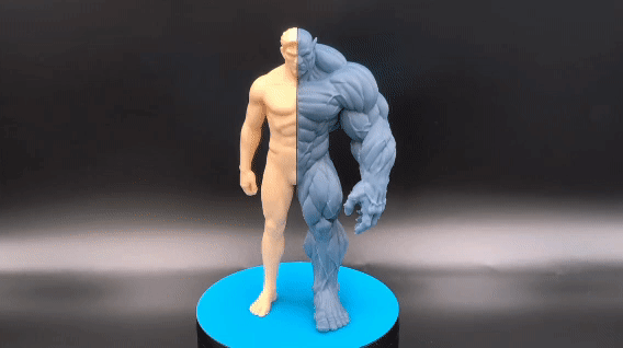 Split-Form Transformation Figure White &amp; Gray