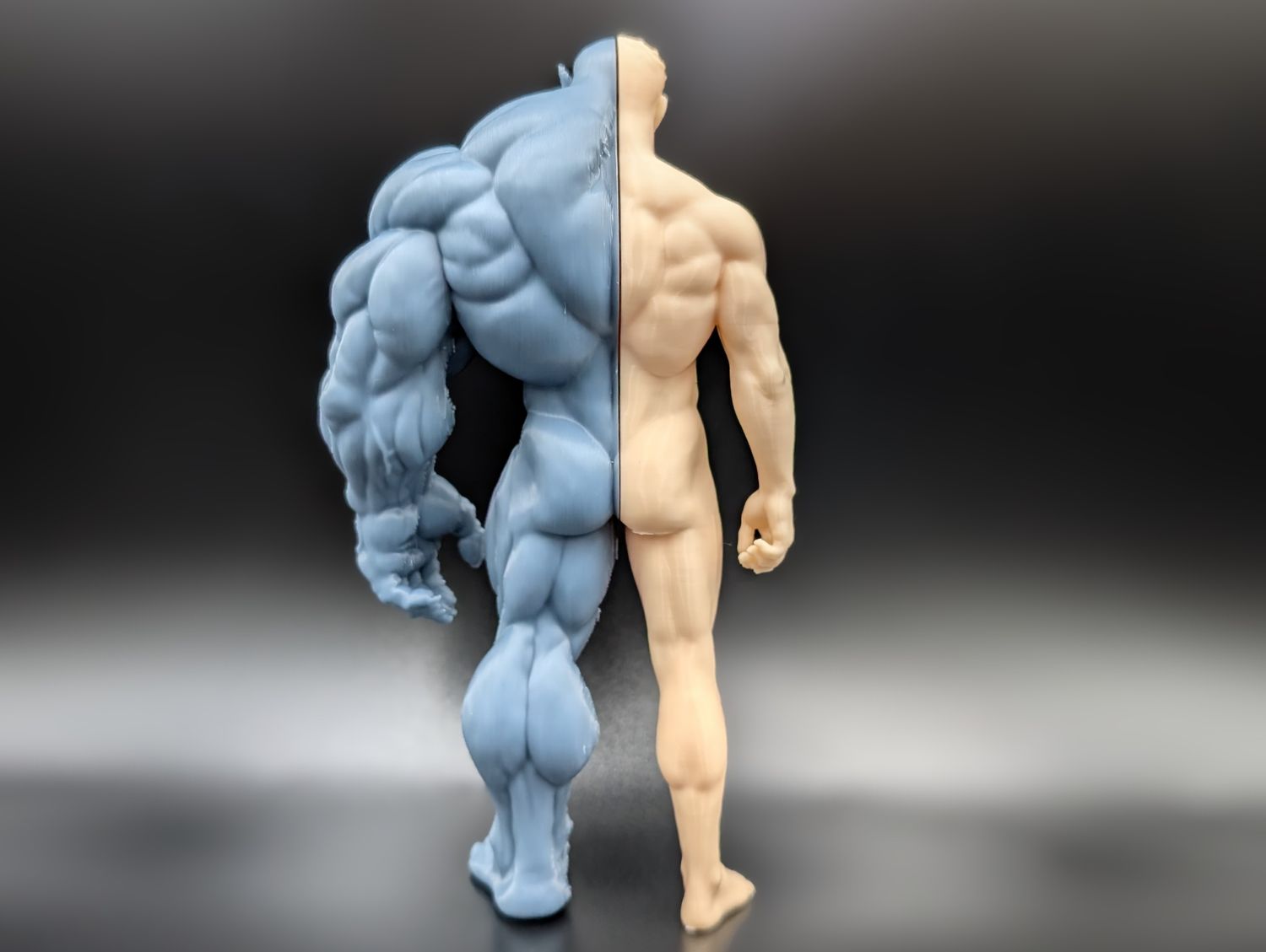 Split-Form Transformation Figure White &amp; Gray