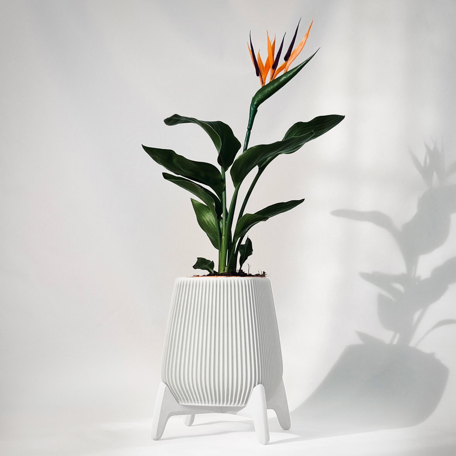 Freya | Standing Planter Pot