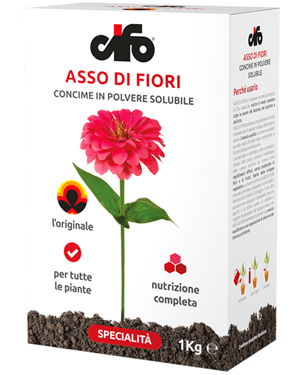 ASSO DI FIORI CIFO CONCIME IN POLVERE SOLUBILE con NPK 20-20-20  da 1 kg