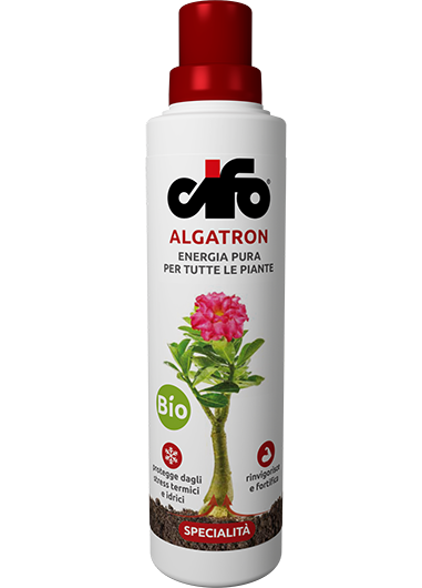 ALGATRON BIO CIFO 200/500 ML