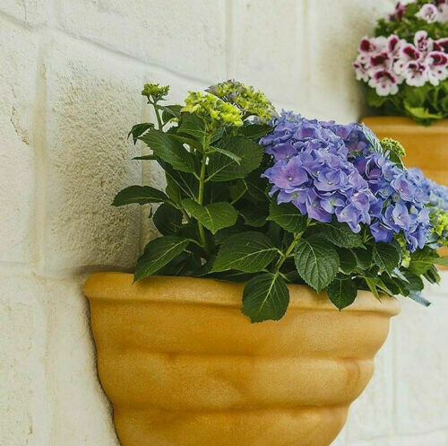 Vaso a parete Gerla 50x27xh25 cm