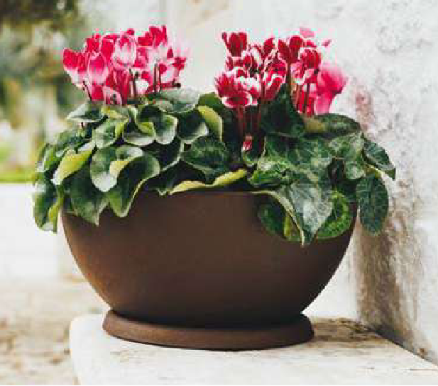 Ciotola Atena a tutta capienza in resina Ø 45/65/85 cm