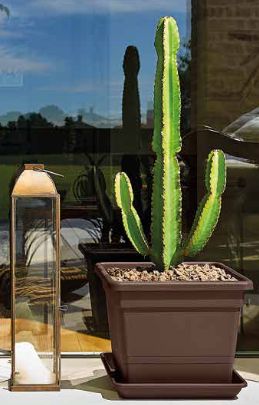 Quadrato da Marte 32, 38, 45, 54 cm in plastica