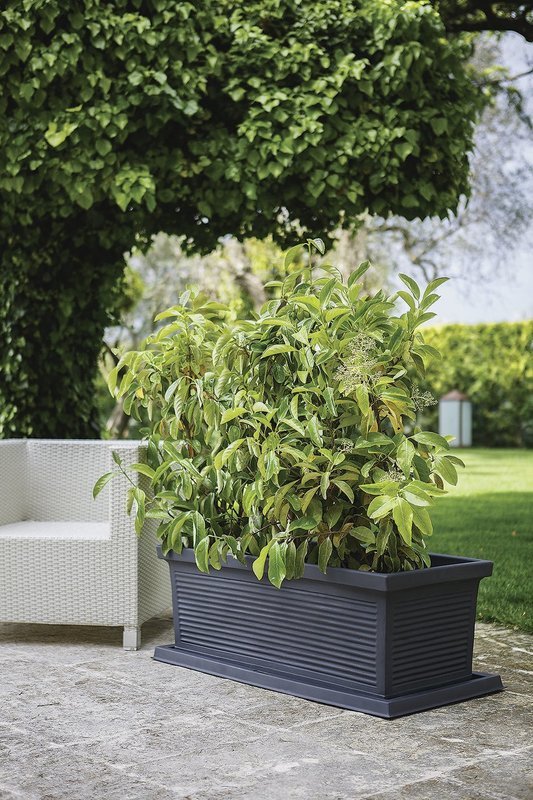 Cassetta Millerighe Rigata Iseo 80 /100 cm