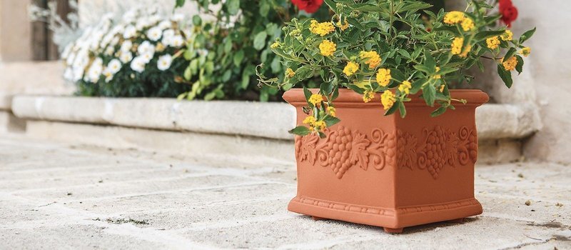 Quadrato decorato Uva 35x35xh 29 cm in resina