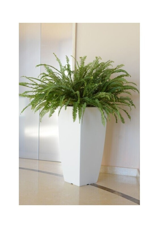 Quadrato Portavaso Stilo liscio moderno h 70/ 90 cm in resina