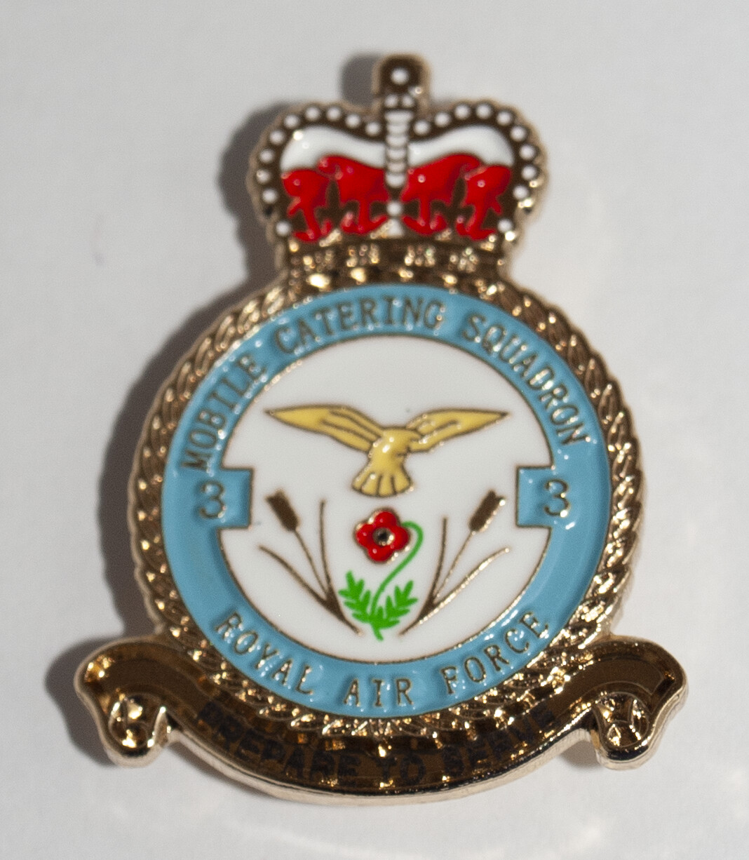 Brand New Beautiful Military Enamel Pin Badge Veteran and Serving Royal Air Force 3 Sqn Mobile Catering Squadron Lapel pin Remembrance Day