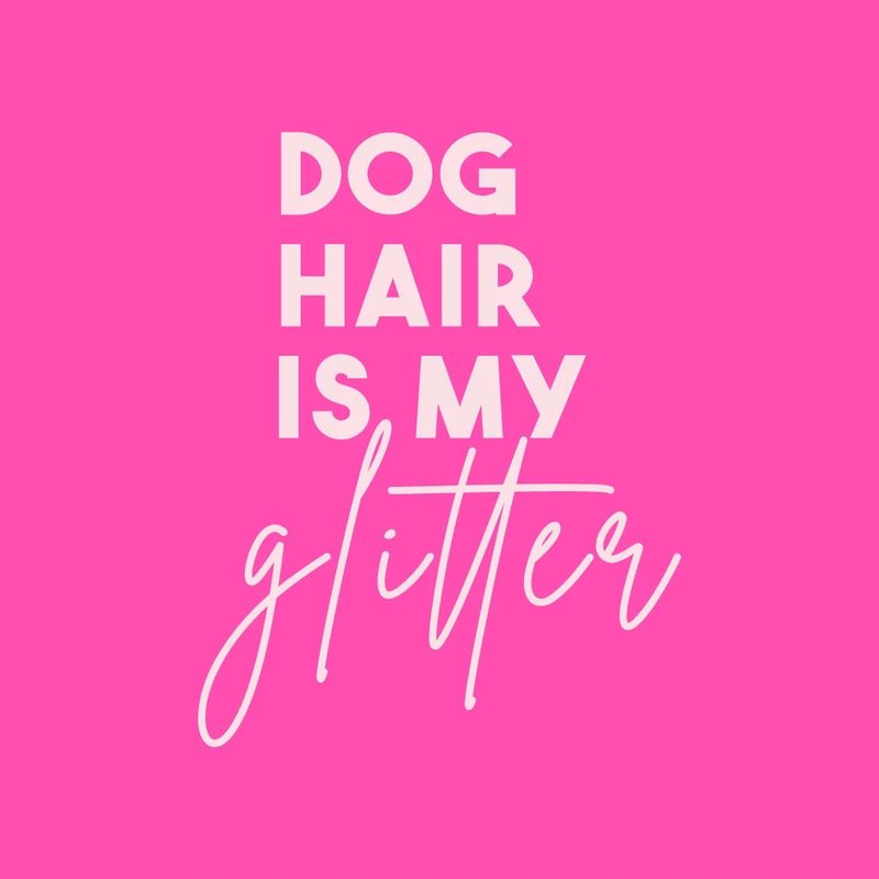 Tegeltje met tekst Dog Hair is my Glitter, gekleurde letters, formaat 10x10 cm.