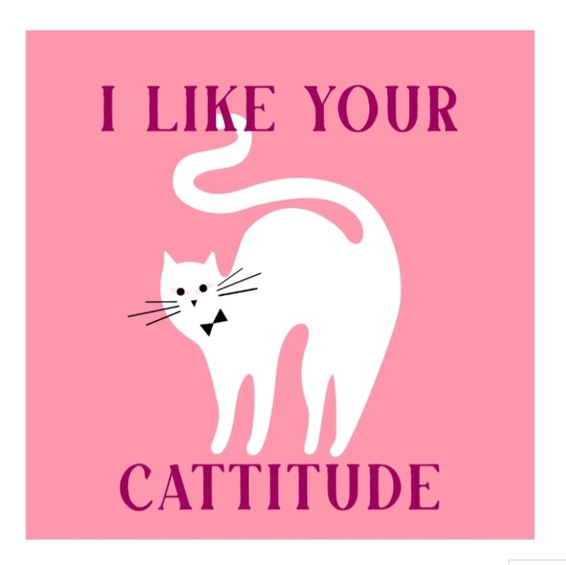 Tegeltje I like your cattitude met witte kat, roze achtergrond, humoristisch cadeau voor kattenliefhebbers.