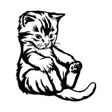 Kattenpenning
