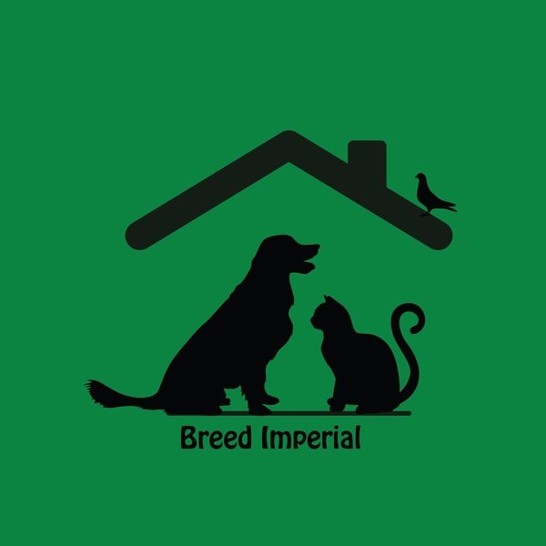 BREED IMPERIAL - Nigeria's no. 1 Pet Hub