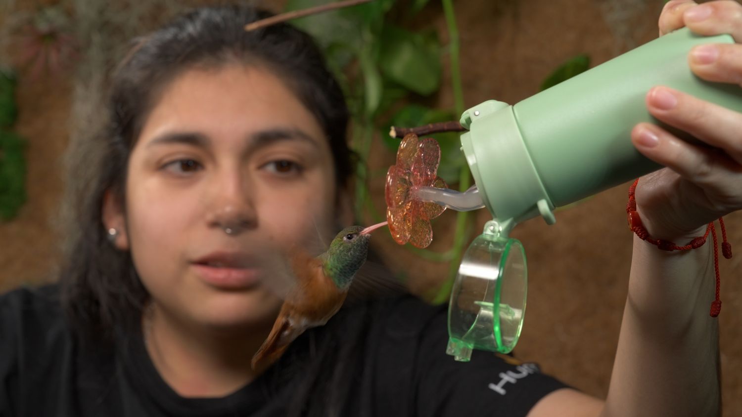 Reserve Hummers Therma™ for 1$