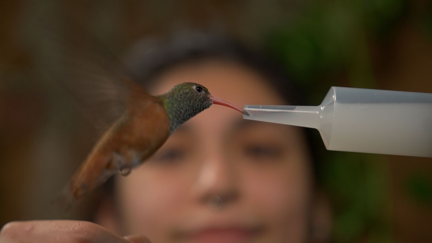 Reserve Hummers Capper™ &amp; Hummers Syrio™