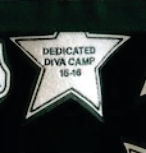 Chenille Patch - Southlake Emerald Belle Outstanding Awards 4&quot; Star Patch &amp; Camp Carroll Awards 4&quot; Star Patch