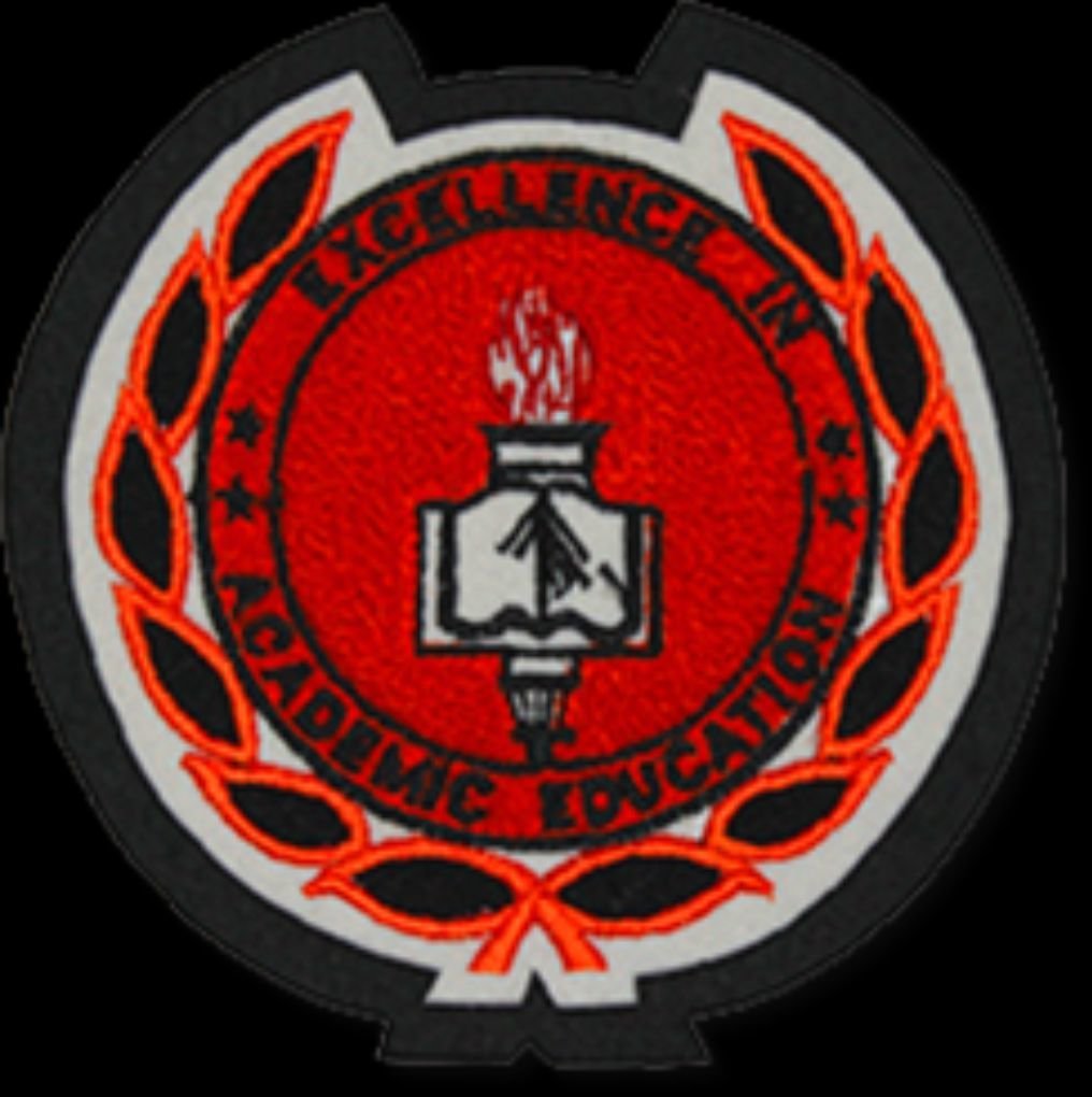 Chenille Patch - Academic Seal*