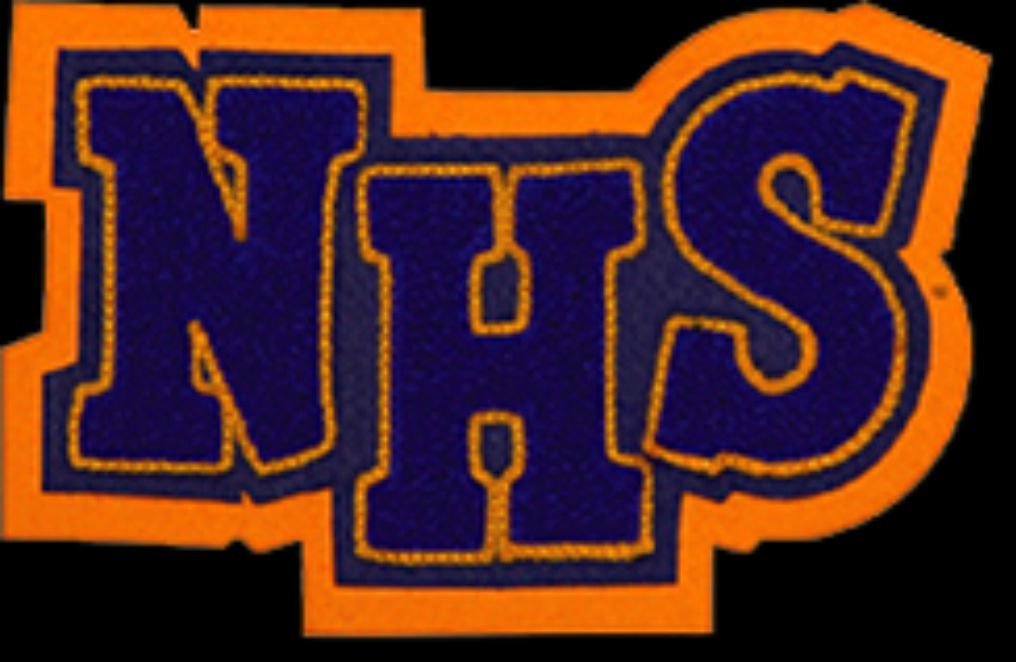 Chenille Patch - NHS*