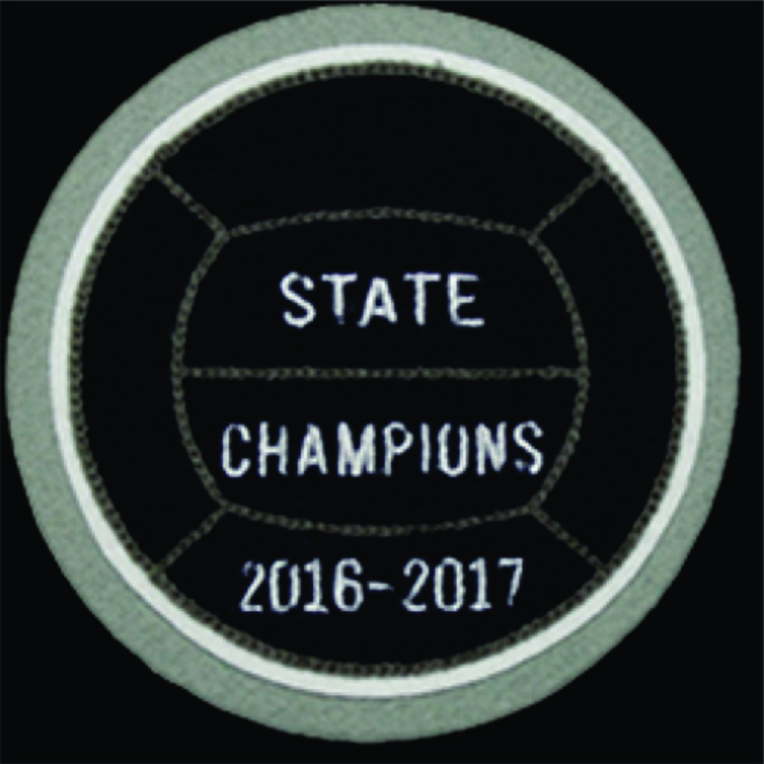 Chenille Patch - Volleyball