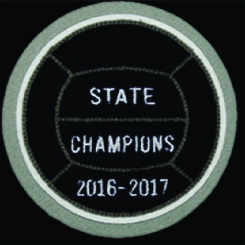 Chenille Patch - Volleyball