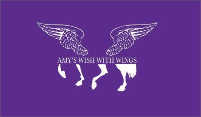 Amy&#39;s Wish with Wings