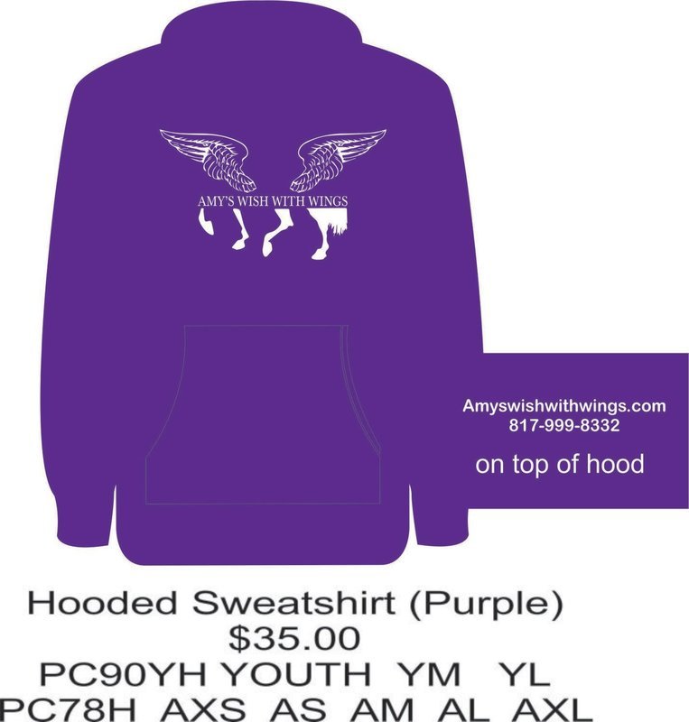 Amy&#39;s Wish with Wings Hooded Sweatshirt
