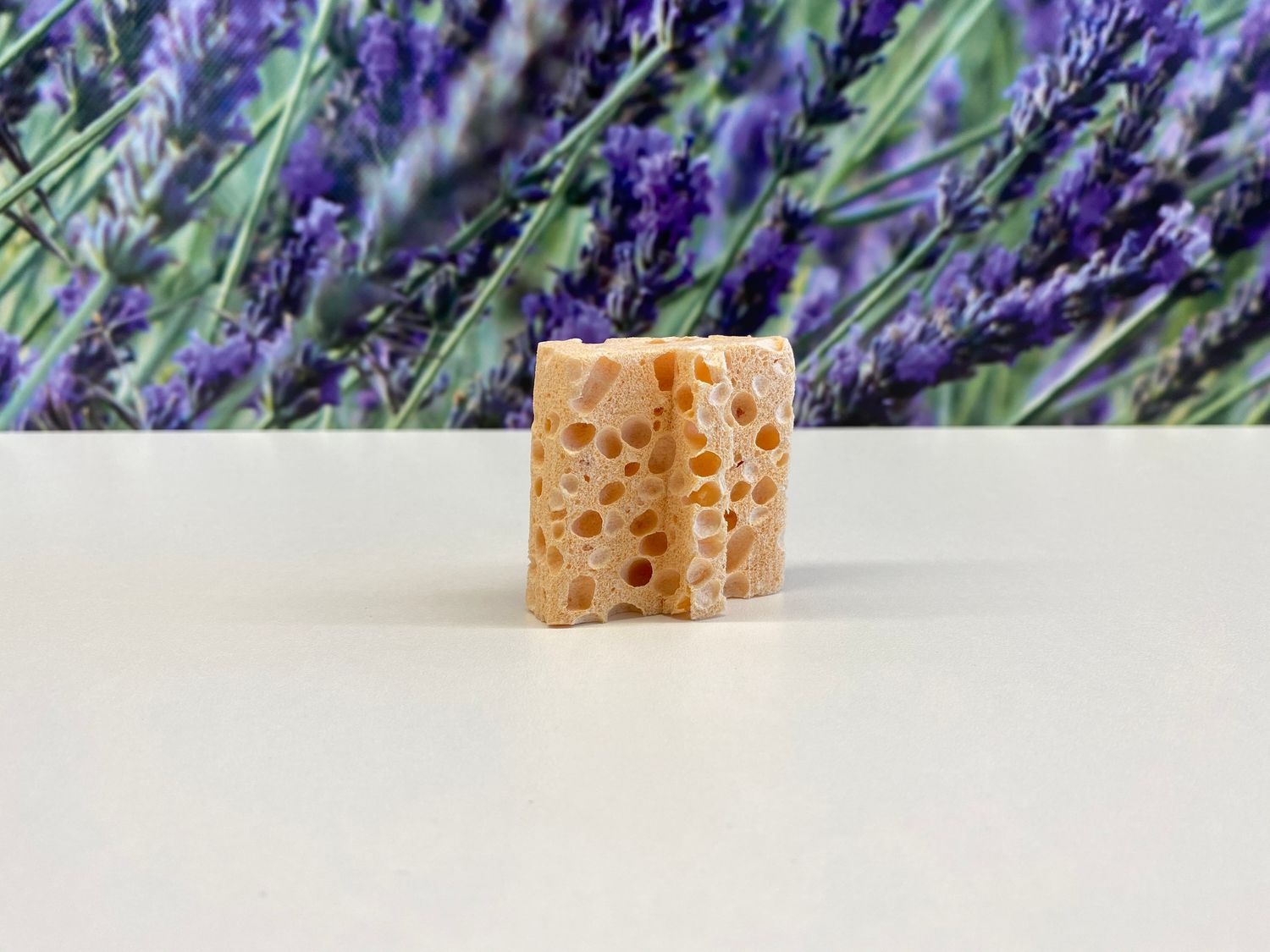 Schwamm für airomat 50