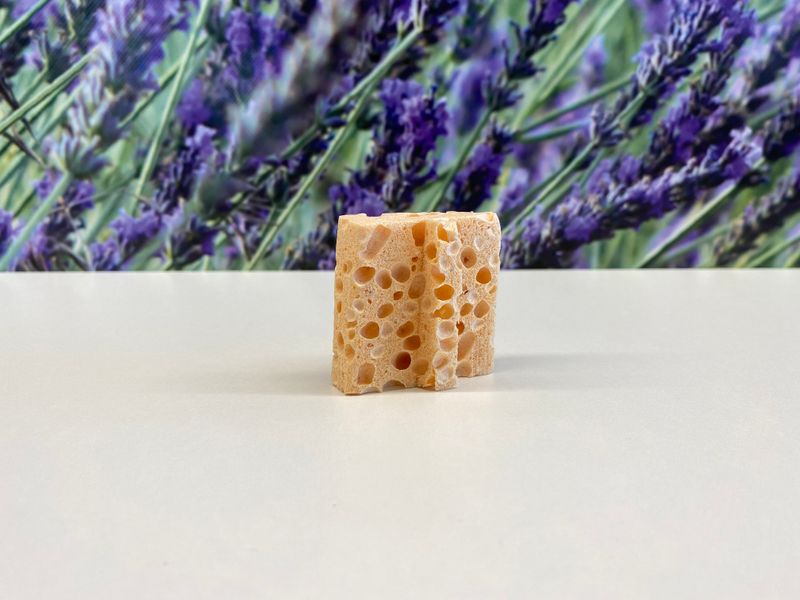 Schwamm für airomat 50