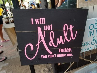 I Will Not Adult Today