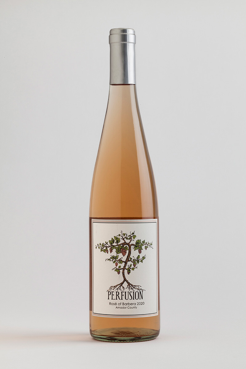 2022 Perfusion Amador County Rosé of Barbera