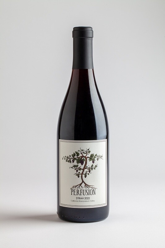 2022 Perfusion Shenandoah Valley Syrah