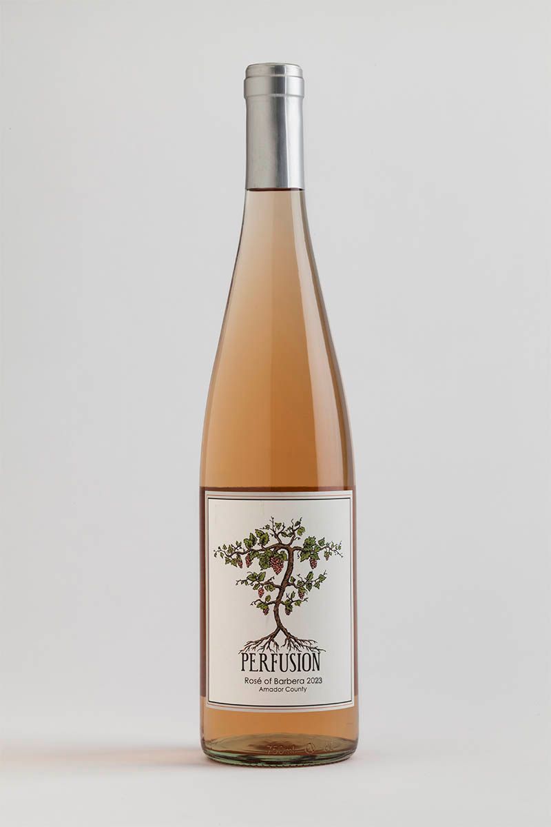 2023 Perfusion Amador County Rosé of Barbera