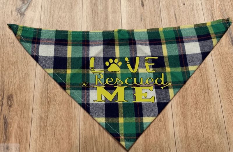 For the Furbabies (Pet Section)
