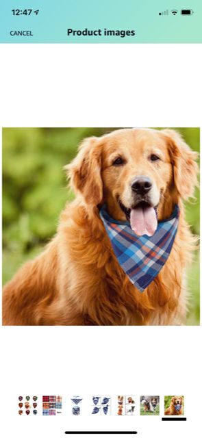 Dog Bandanas