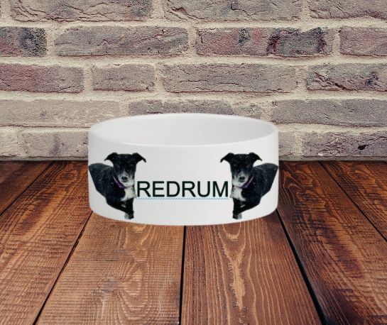 Personalized Dog Bowl