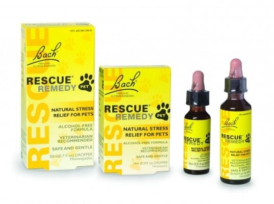 Bach Flowers Rescue Remedy For Pet Bach Flowers Rescue Remedy For Pet