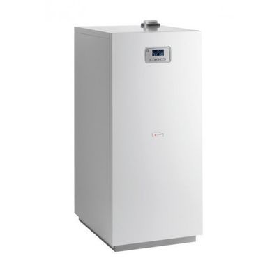 Niedźwiedź condens