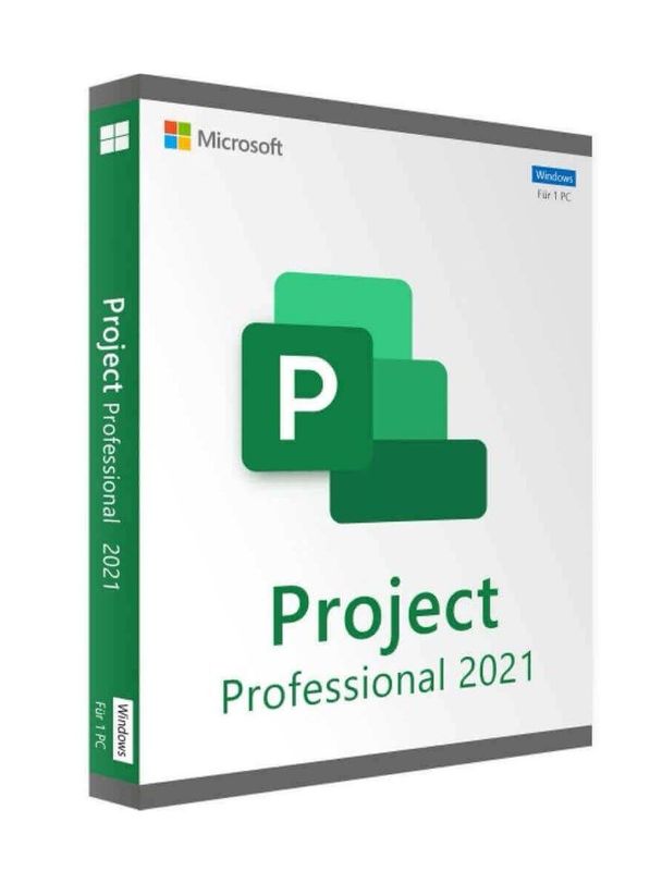 Microsoft Project Professional 2021 a VITA