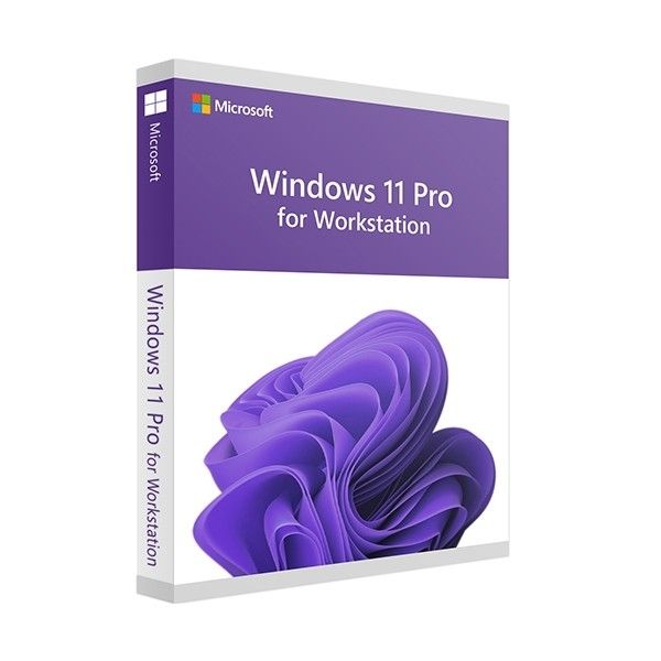 Microsoft Windows 11 Pro  For Workstation 