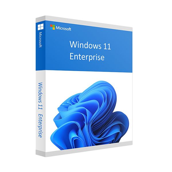 Microsoft Windows 11 Enterprise 