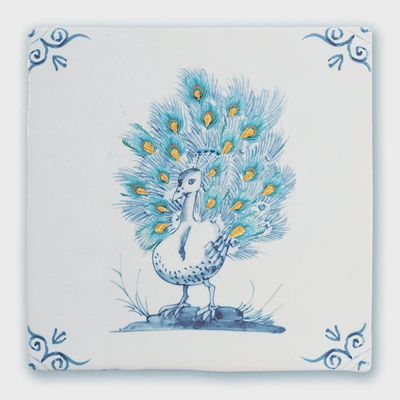 StoryTiles | Trots als een pauw