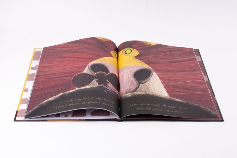 Kinderboek De leeuw in de muis