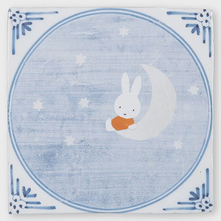 StoryTiles I Nijntje op de maan