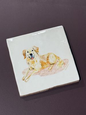 OrigiNeeltje I Tegeltje golden retriever Kees
