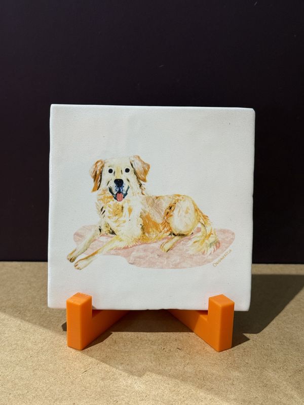 OrigiNeeltje I Tegeltje golden retriever Kees